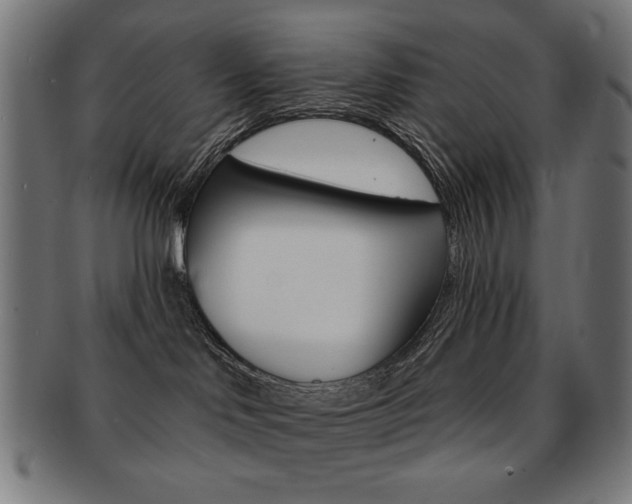 X0000092010046200709061318