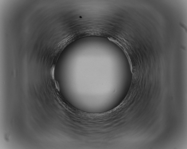 X0000092010047200709061318
