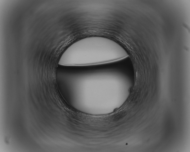 X0000092010048200709061318
