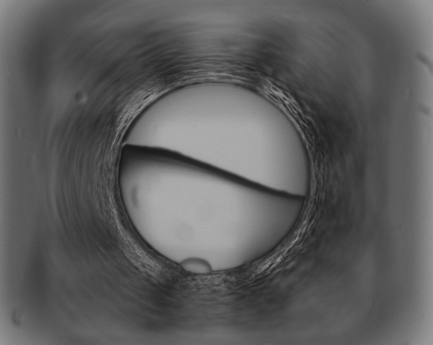 X0000092010049200709061317