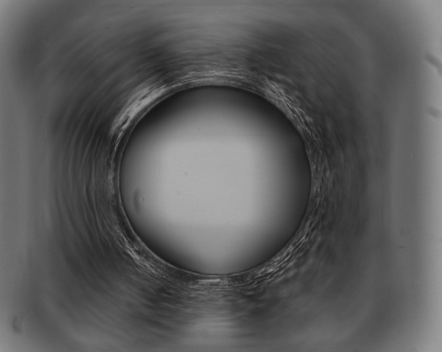 X0000092010050200709061317