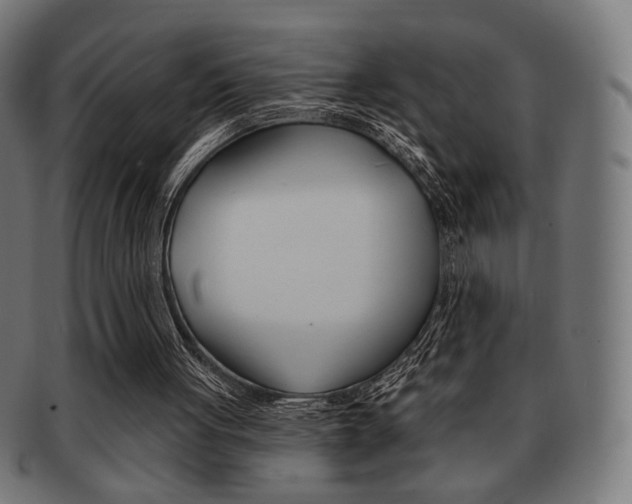 X0000092010051200709061317