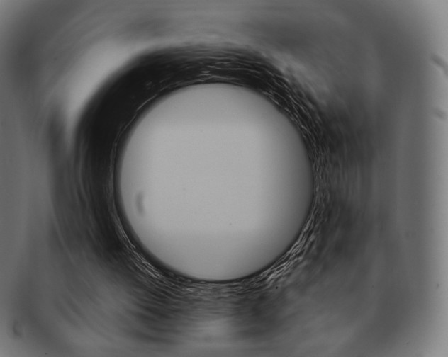 X0000092010052200709061317