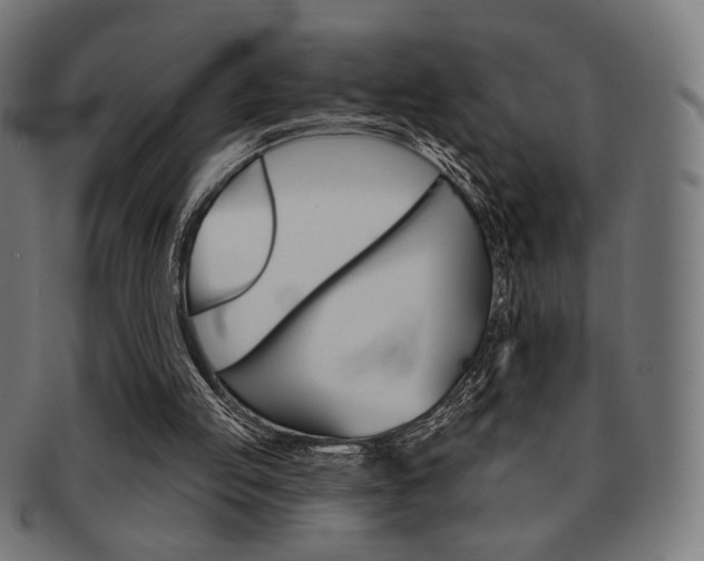 X0000092010053200709061317