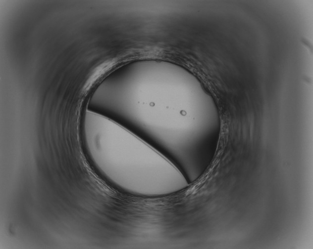 X0000092010054200709061317