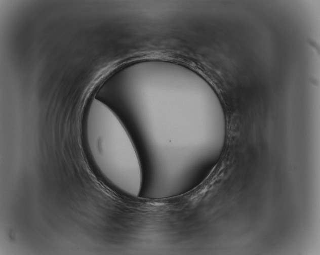 X0000092010055200709061317