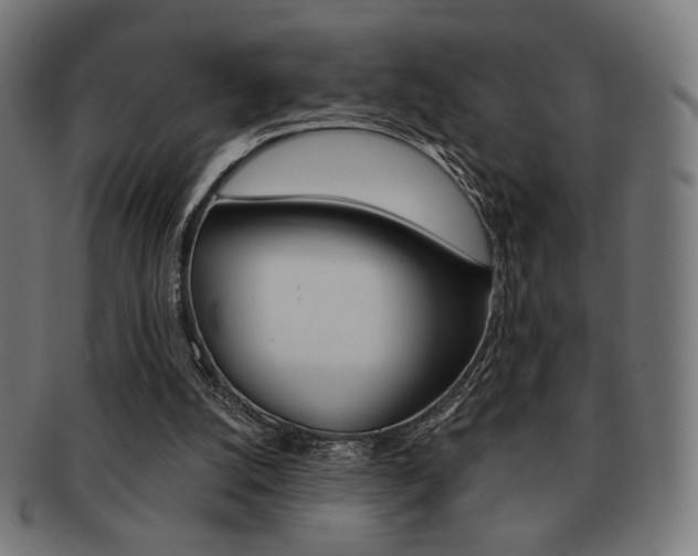 X0000092010056200709061317