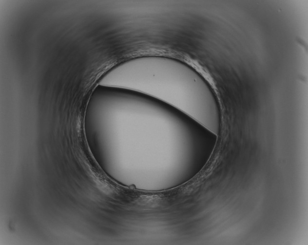 X0000092010057200709061317