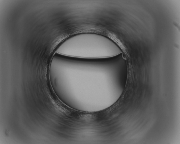 X0000092010058200709061317