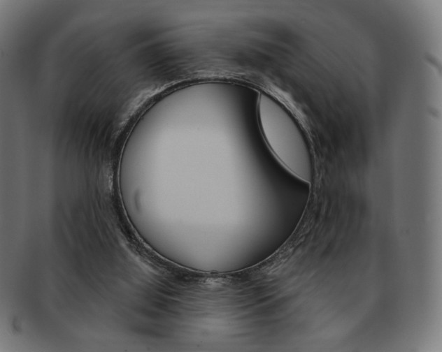 X0000092010060200709061317