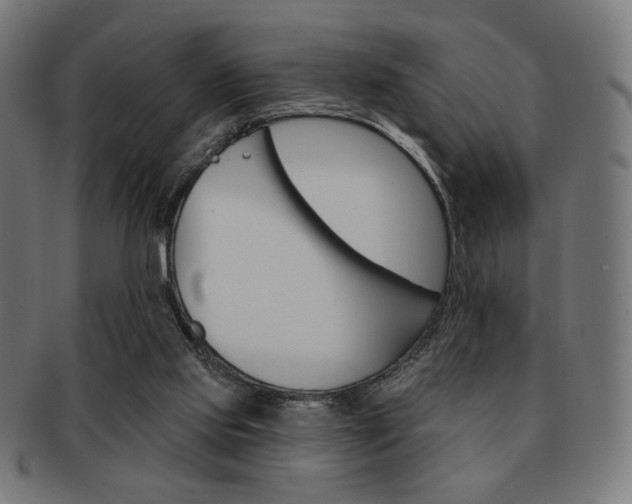 X0000092010061200709061317