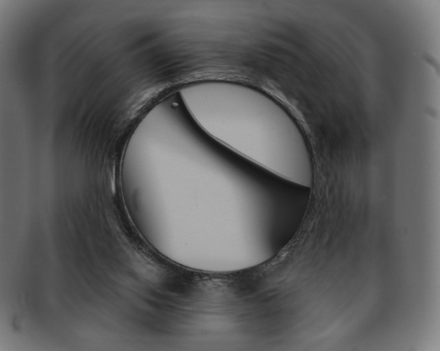 X0000092010062200709061317