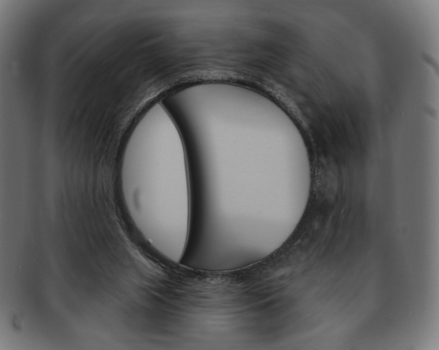 X0000092010063200709061317