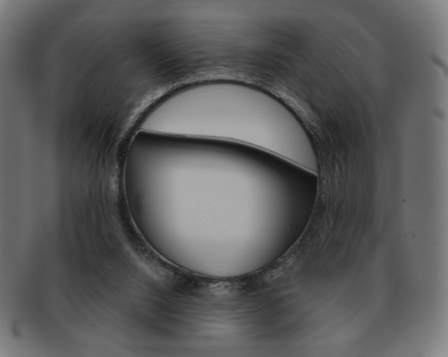 X0000092010064200709061317