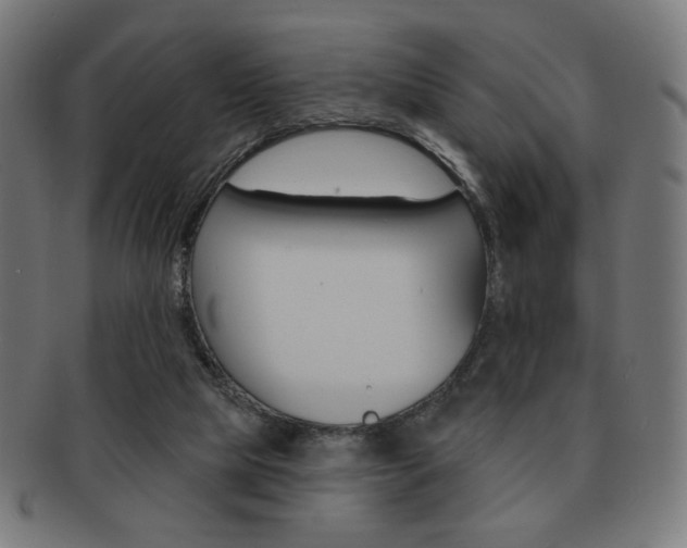 X0000092010065200709061317