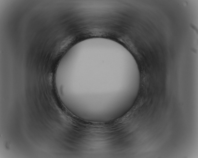 X0000092010066200709061317