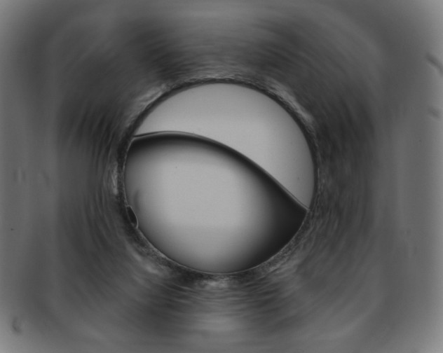 X0000092010068200709061317