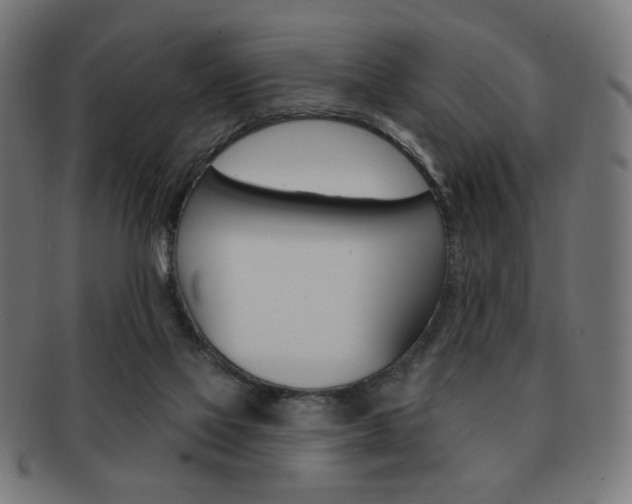 X0000092010069200709061317