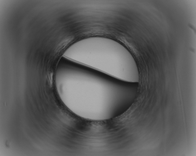 X0000092010070200709061317