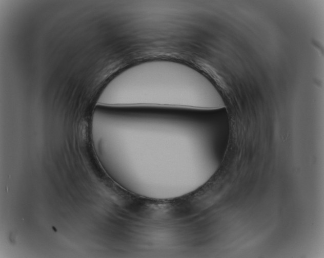 X0000092010071200709061317