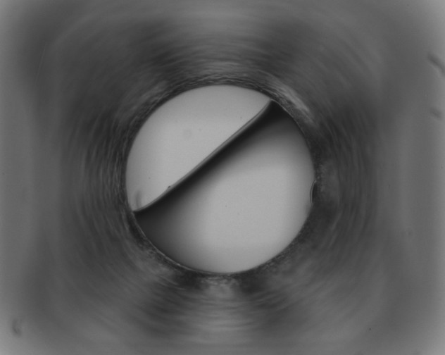 X0000092010073200709061317