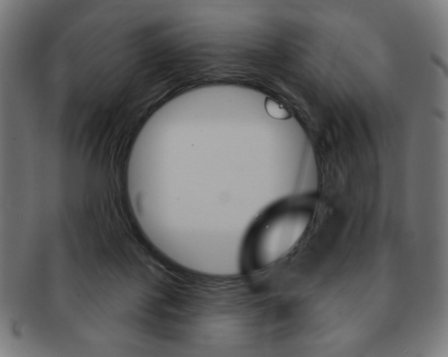 X0000092010075200709061317