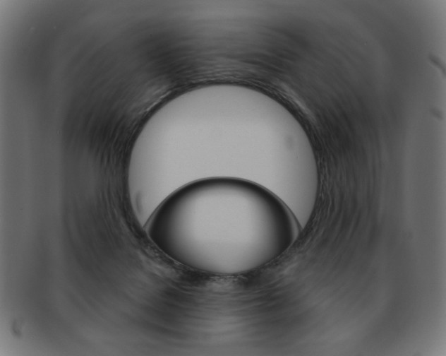 X0000092010076200709061317