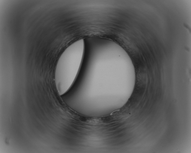 X0000092010079200709061318