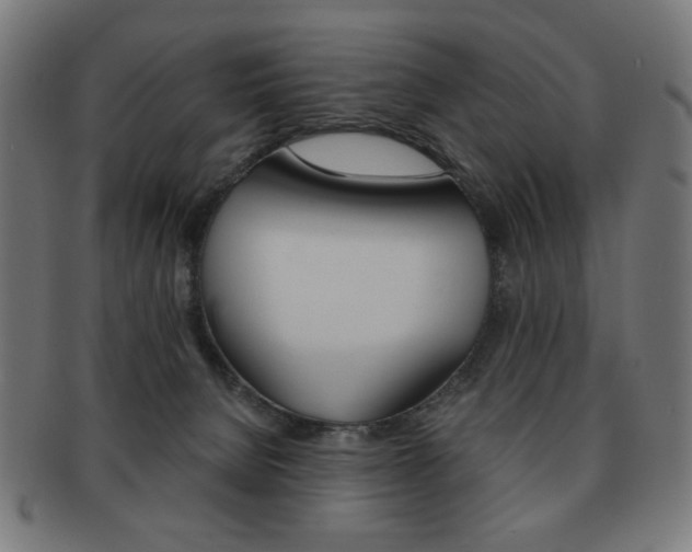 X0000092010080200709061318