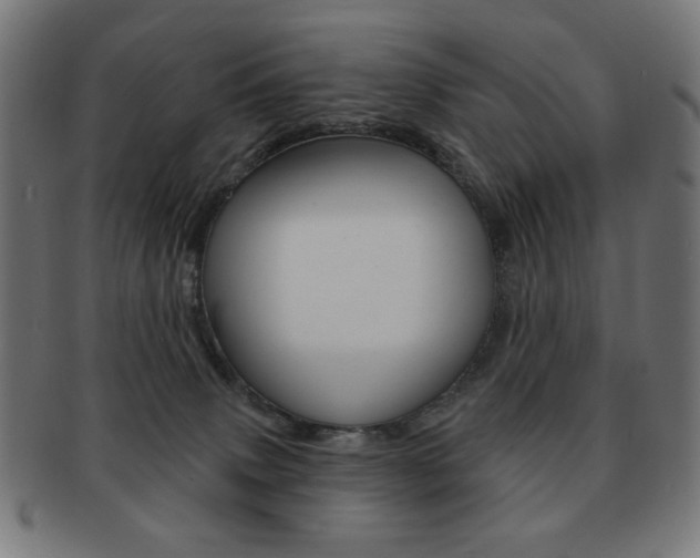 X0000092010083200709061318