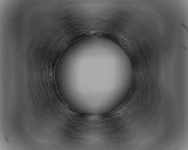X0000092010085200709061318