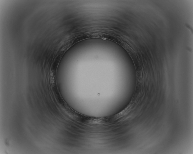 X0000092010086200709061318