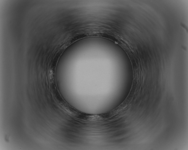 X0000092010087200709061318