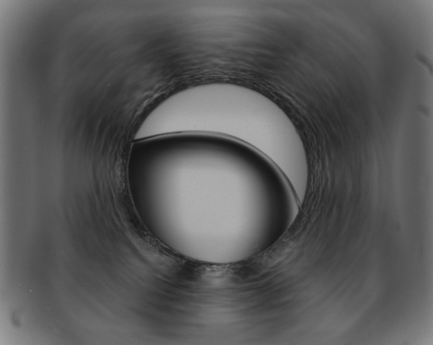 X0000092010088200709061318