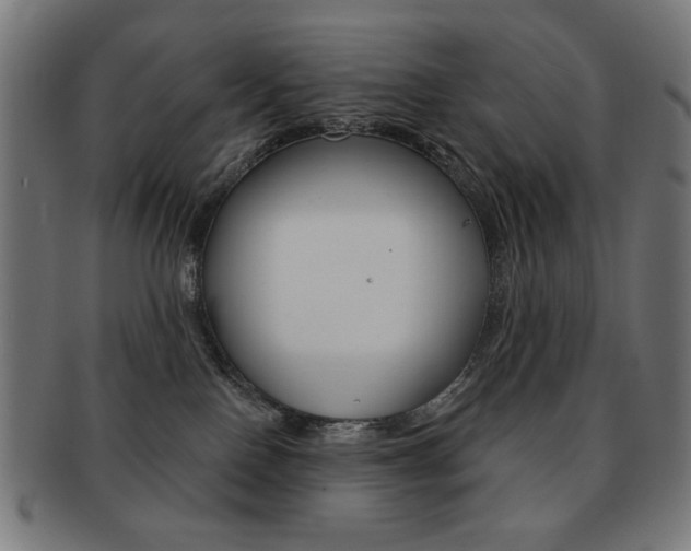 X0000092010090200709061318