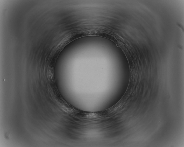 X0000092010091200709061318