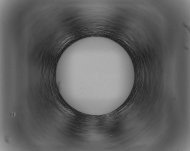X0000092010092200709061318