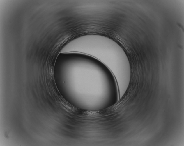 X0000092010093200709061318