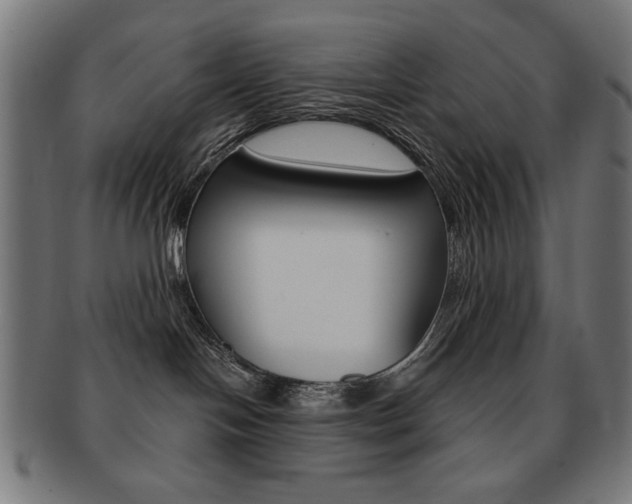 X0000092010094200709061318