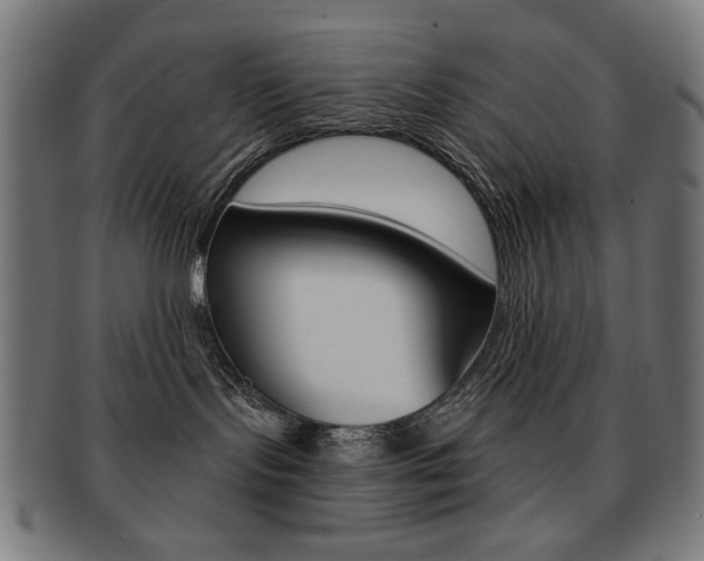X0000092010095200709061318