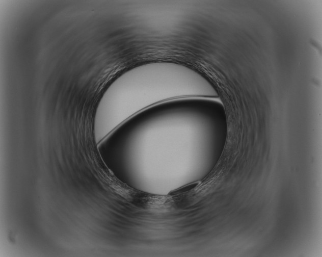 X0000092010096200709061318