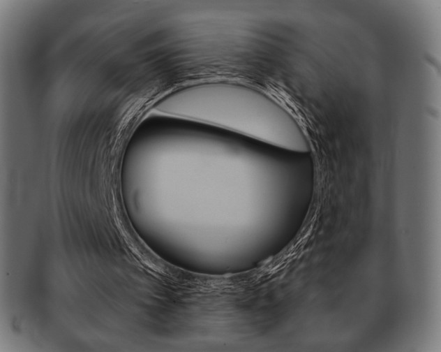 X0000092010097200709061317