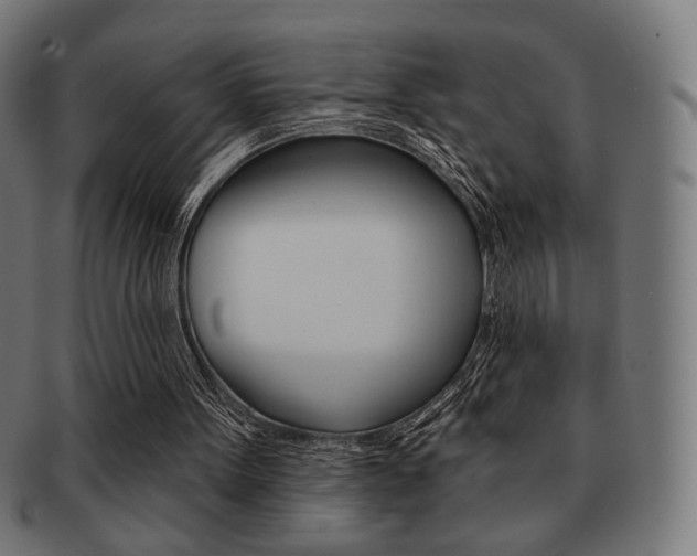 X0000092010099200709061317