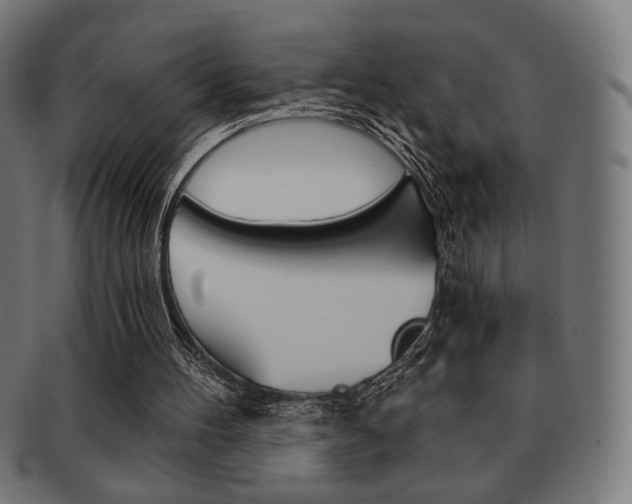 X0000092010100200709061317