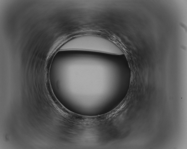 X0000092010101200709061317