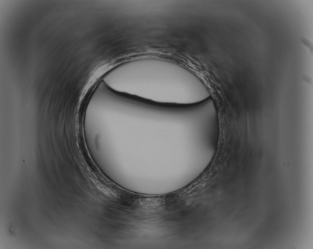 X0000092010102200709061317
