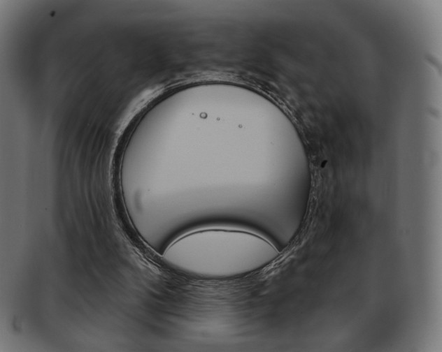 X0000092010104200709061317
