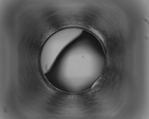 X0000092010105200709061317