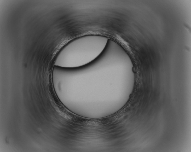 X0000092010106200709061317