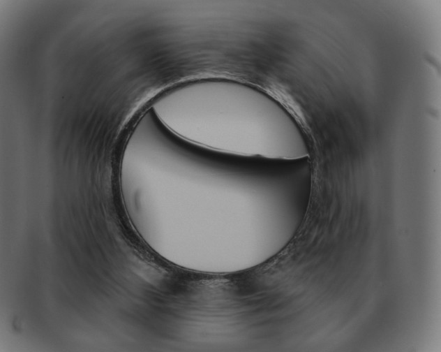 X0000092010108200709061317